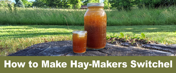 How to Make Hay-Makers Switchel